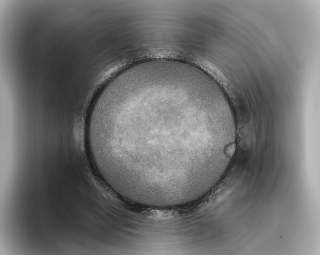 X0000095120442200712211313