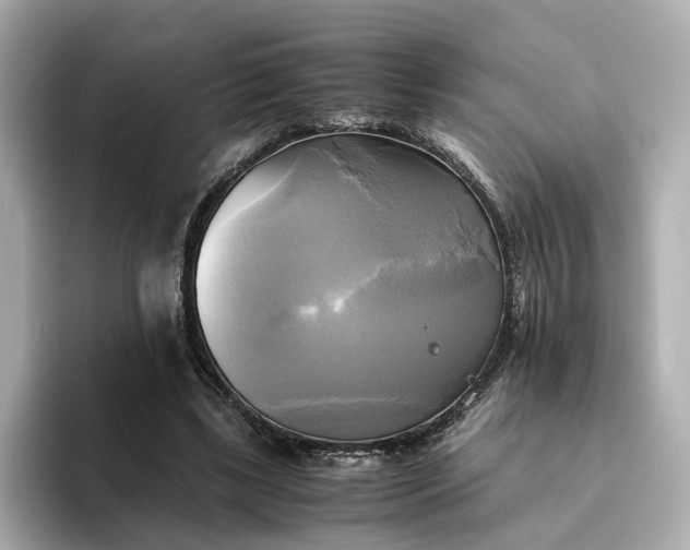 X0000095120443200712211313