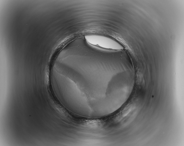 X0000095120446200712211313