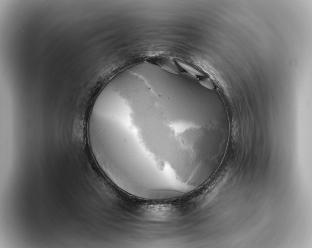 X0000095120449200712211313