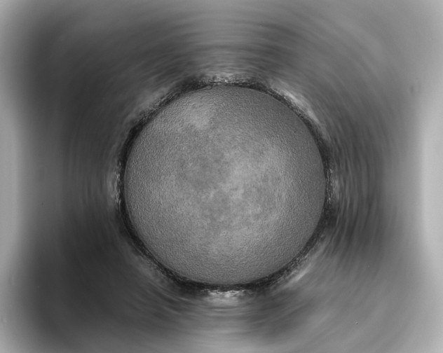 X0000095120450200712211313