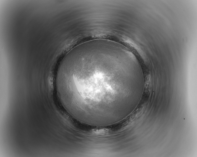 X0000095120452200712211313