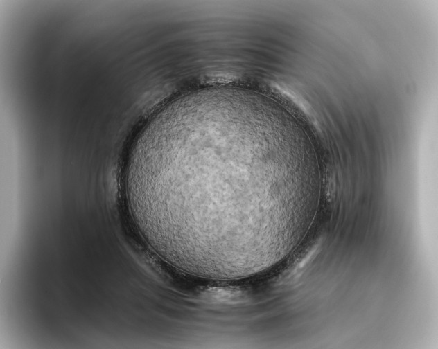 X0000095120455200712211313