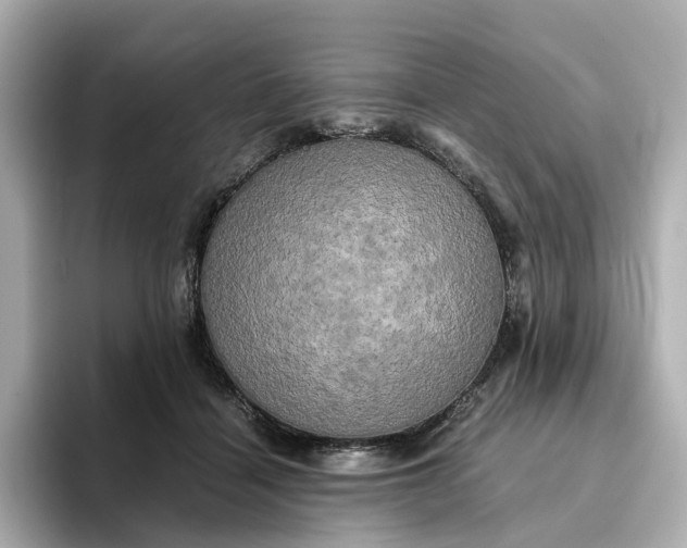 X0000095120460200712211313