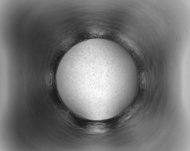 X0000095120463200712211313