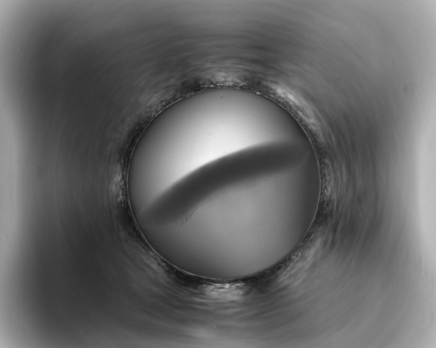 X0000095120465200712211313