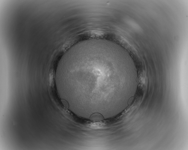 X0000095120468200712211313