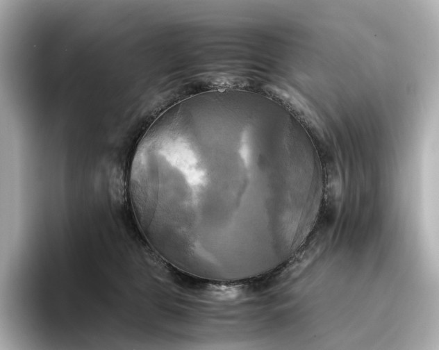 X0000095120469200712211313