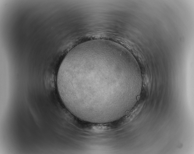 X0000095120470200712211313