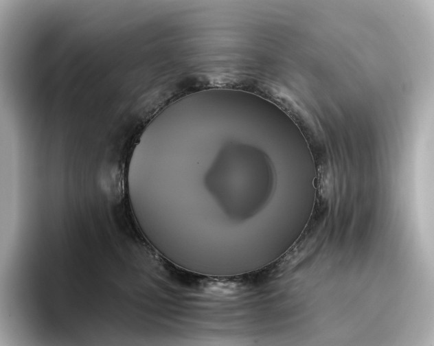 X0000095120471200712211313