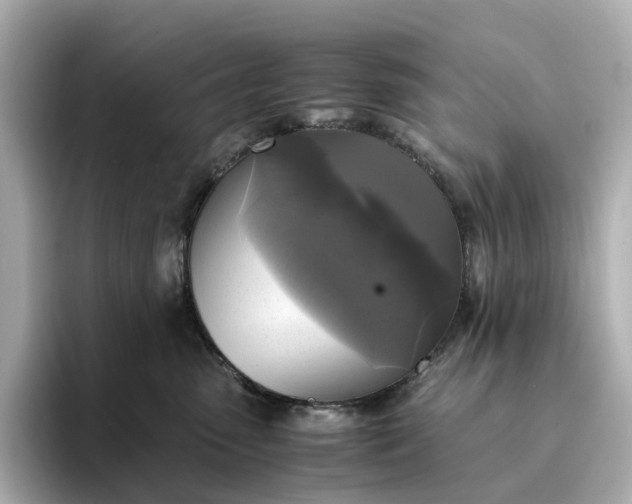 X0000095120475200712211313