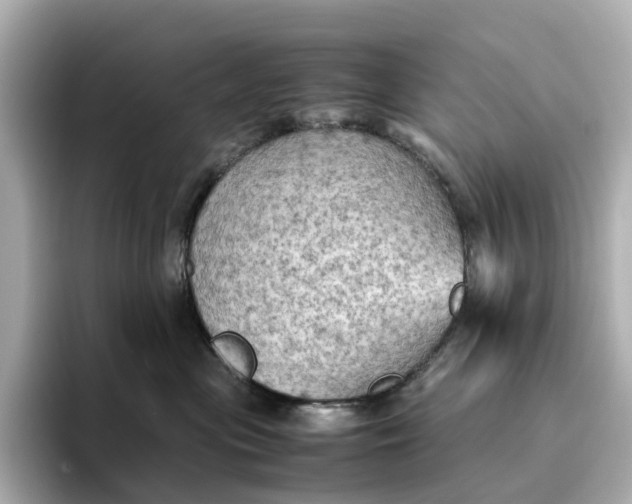 X0000095120477200712211313