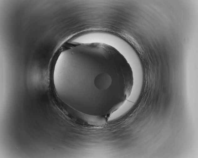 X0000095120484200712211313