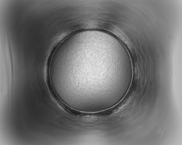 X0000095120485200712211313