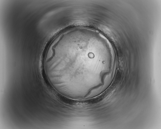 X0000095120487200712211313