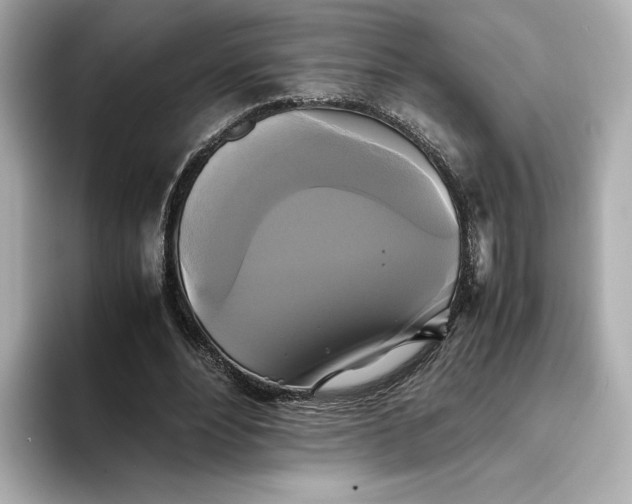 X0000095120488200712211313