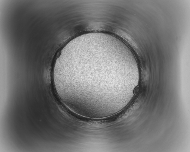 X0000095120489200712211313