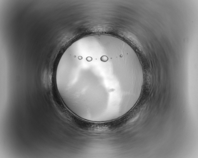 X0000095120491200712211313