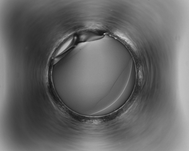 X0000095120492200712211312