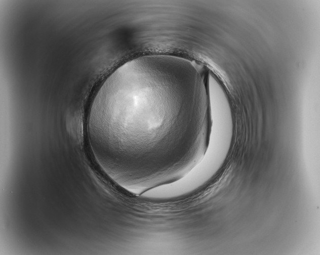 X0000095120493200712211312