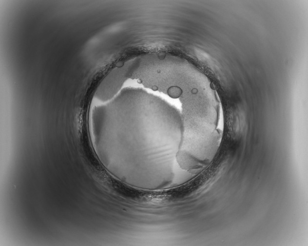 X0000095120495200712211312