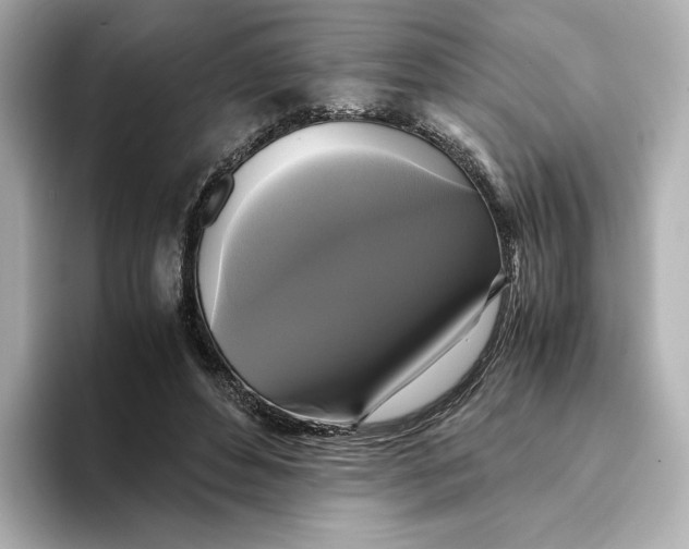 X0000095120496200712211312