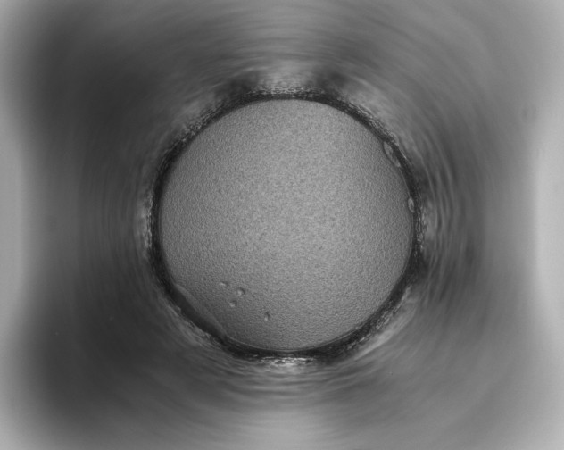 X0000095120497200712211312