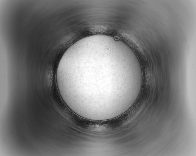 X0000095120498200712211312