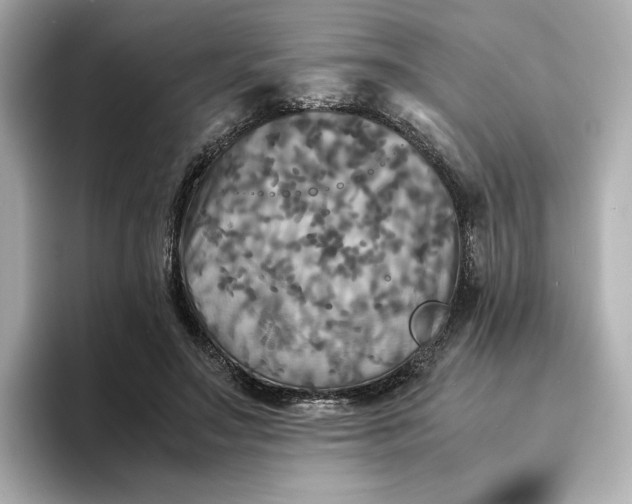 X0000095120499200712211312