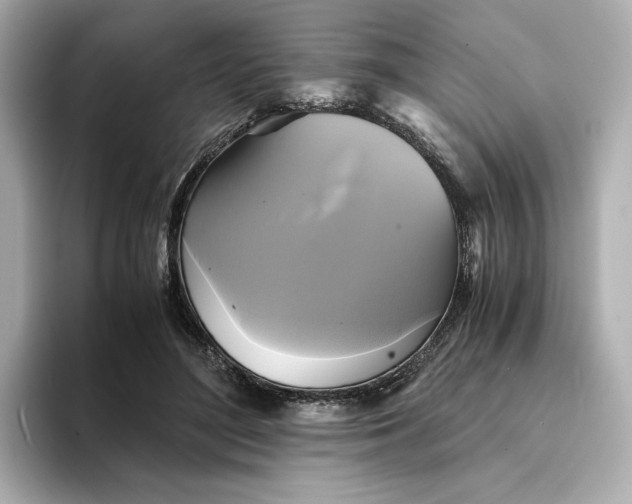 X0000095120500200712211312