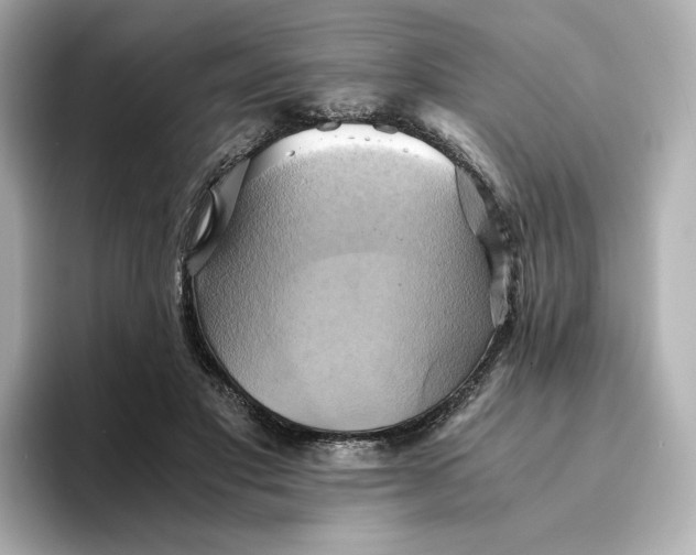 X0000095120501200712211312