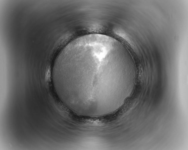 X0000095120502200712211312