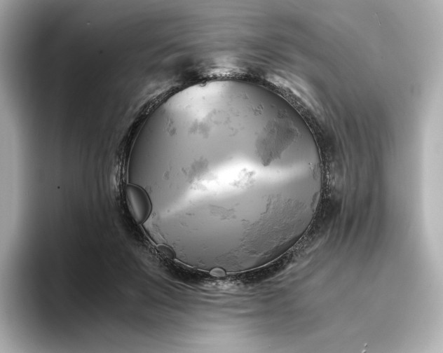 X0000095120503200712211312