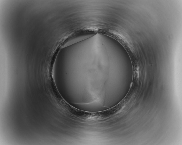 X0000095120504200712211312