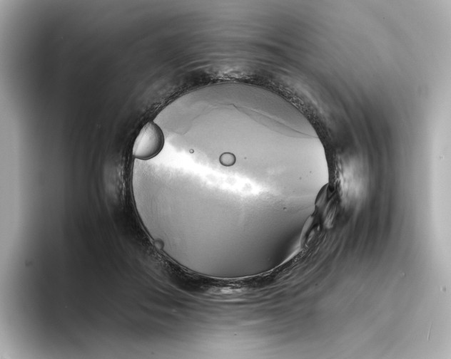 X0000095120506200712211312