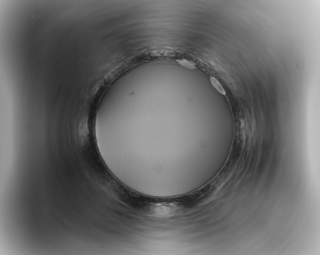 X0000095120508200712211312