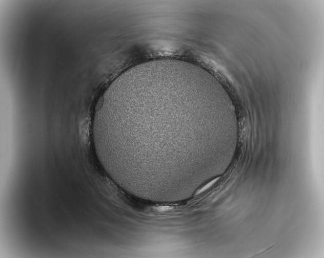 X0000095120509200712211312