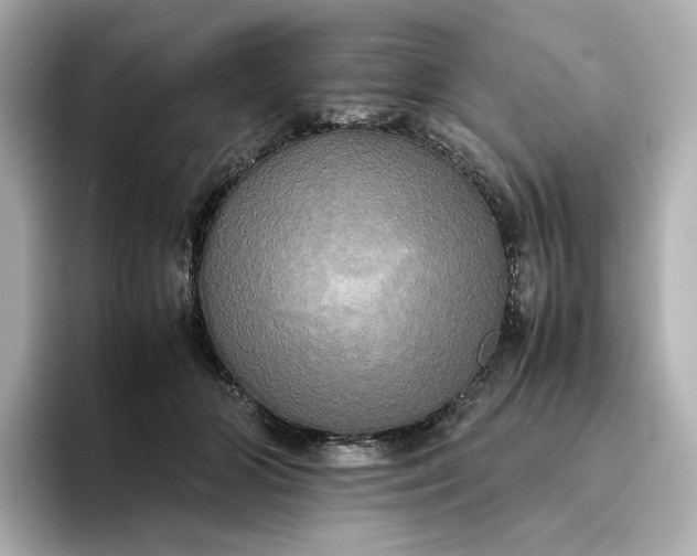 X0000095120510200712211312