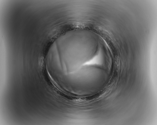 X0000095120511200712211312