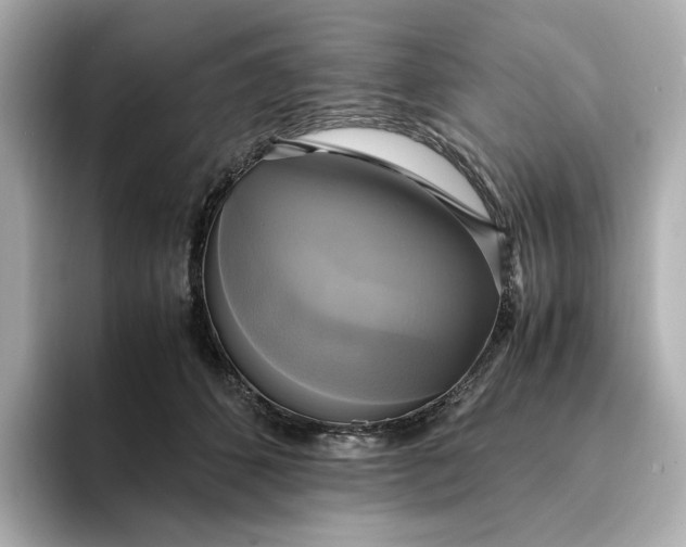 X0000095120512200712211312