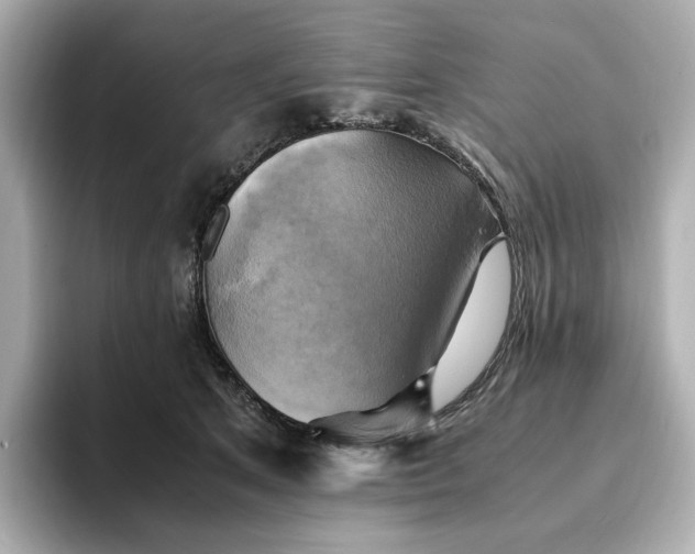 X0000095120513200712211312