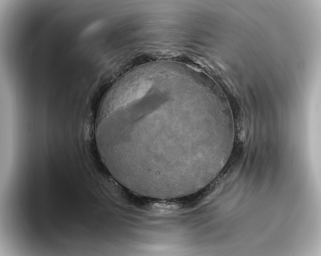 X0000095120515200712211312