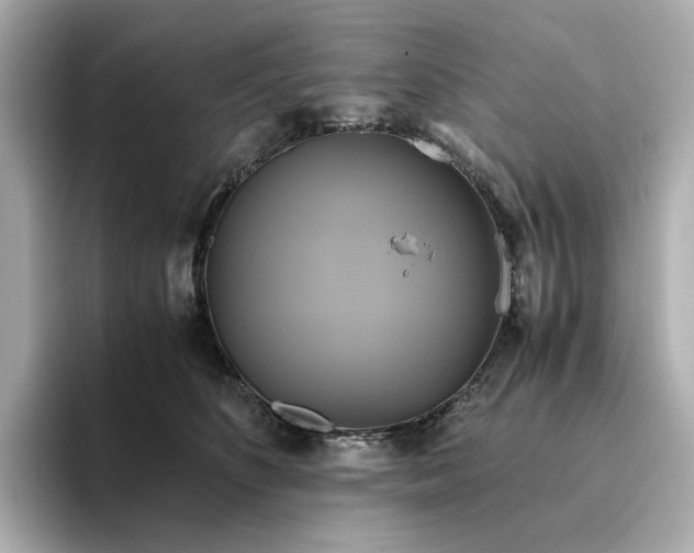 X0000095120516200712211312