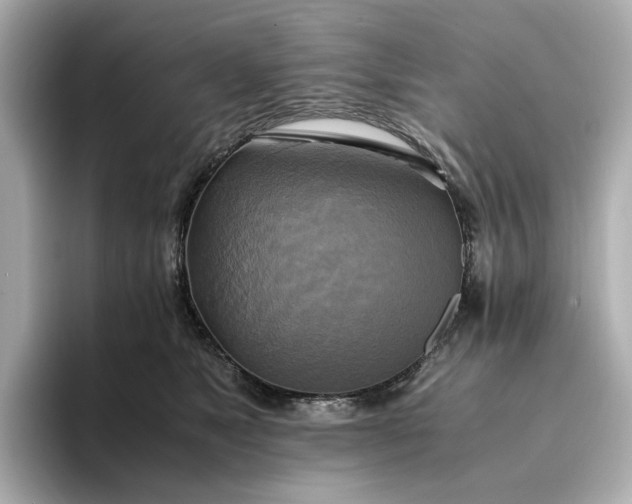 X0000095120517200712211312