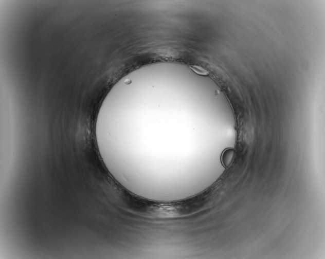 X0000095120518200712211312