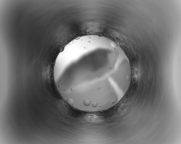 X0000095120519200712211312