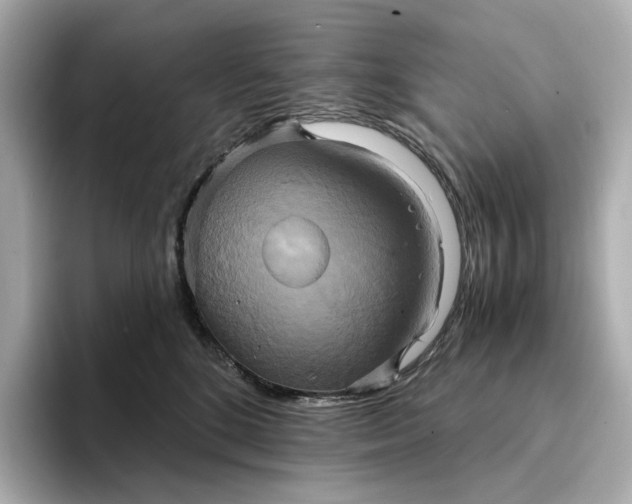 X0000095120520200712211312