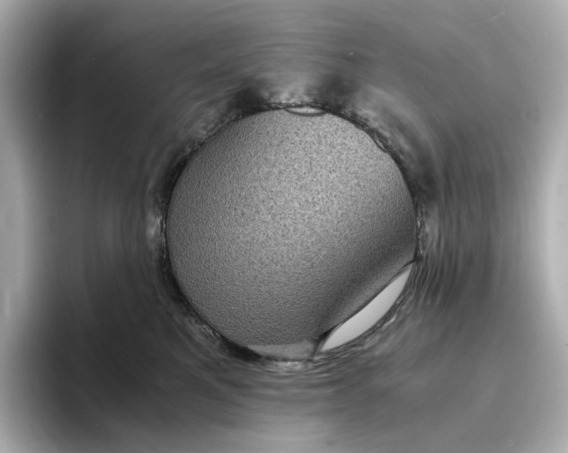 X0000095120521200712211312