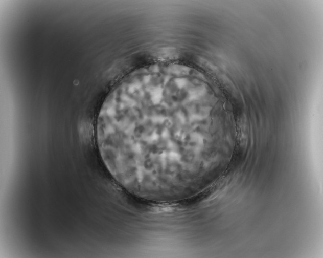 X0000095120523200712211312