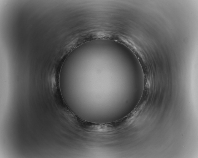 X0000095120524200712211312